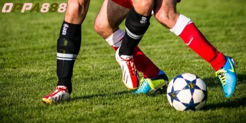 Tổng quan một vài kiến thức đặc biệt về việc soi kèo bundesliga