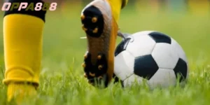 soi kèo bundesliga